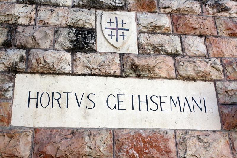 Ogród Getsemani, Jerozolima