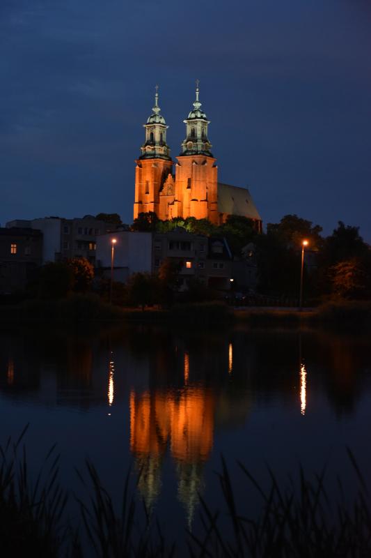 Katedra gnieźnieńska