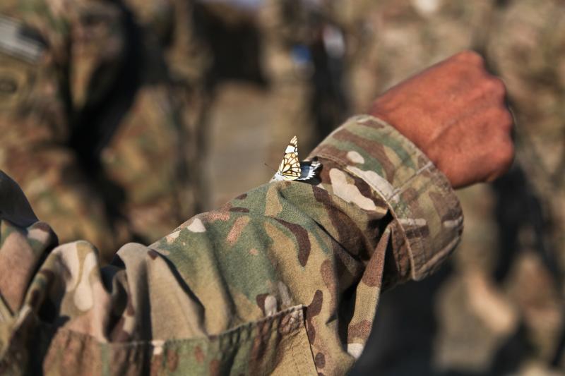 Żołnierz, Afganistan