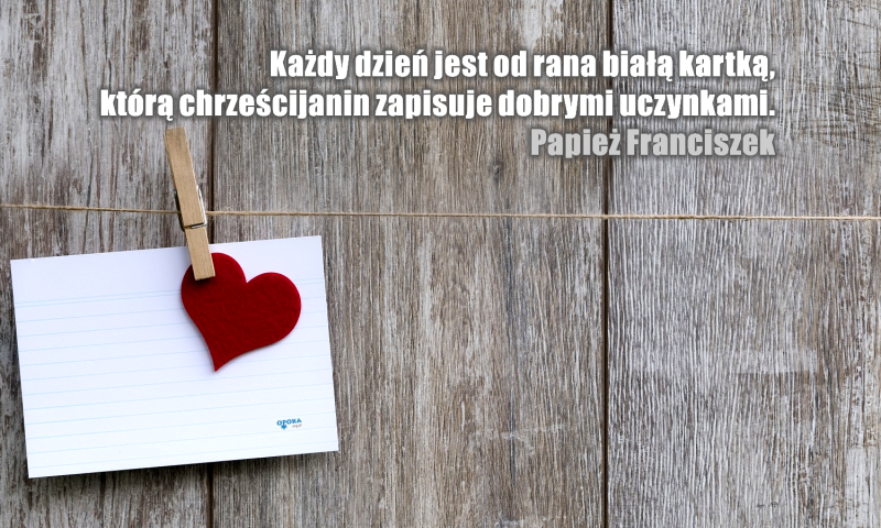 Kwiatek Papieża Franciszka