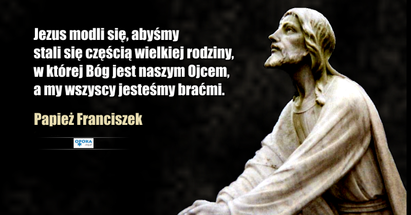 Kwiatek Papieża Franciszka 08.07.2019