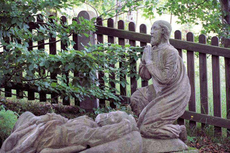 Góra Oliwna - Ogrójec