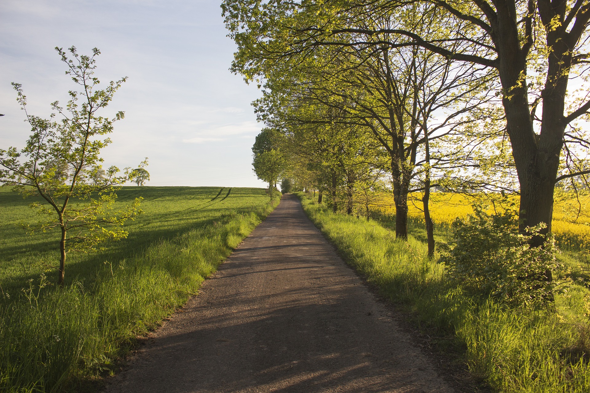 Country roads. Сельская дорога. Проселочная дорога. Поселковая дорога. Сельская природа дорога.